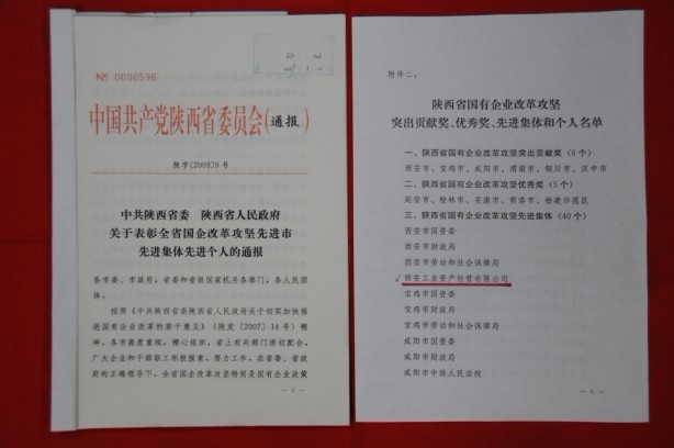 2009年2月，被陕西省委、省政府授予陕西省国有企业改革攻坚先进集体
