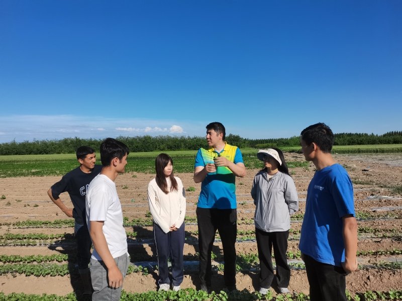 心理健康球探体育比分官网栏目导航模式