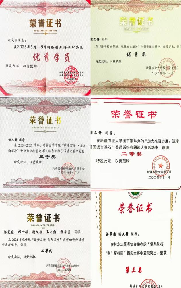 球探体育比分正版官网球探体育比分正版